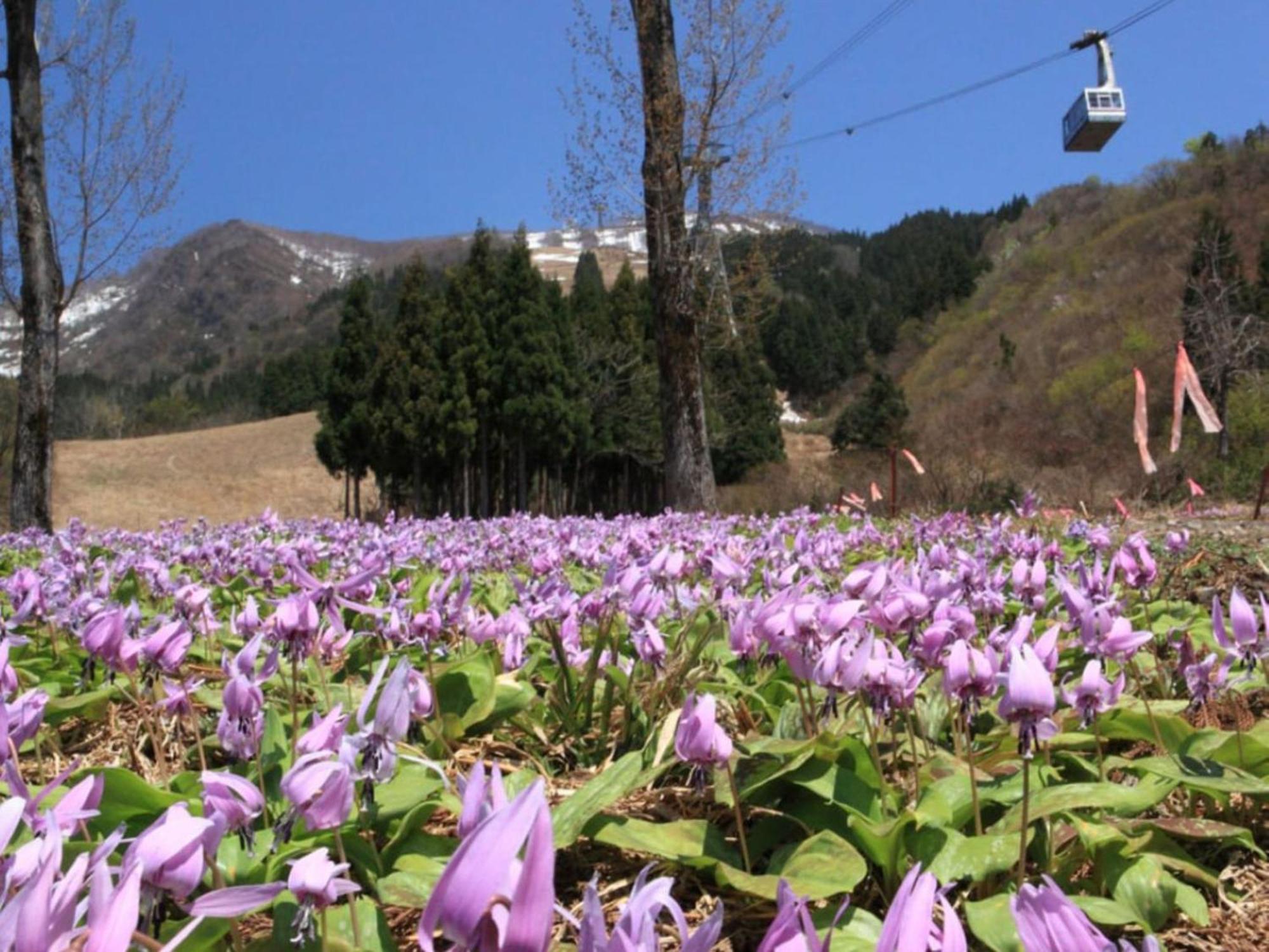 Pension Come Healing Tatami-Room- Vacation Stay 14980 南魚沼市 エクステリア 写真